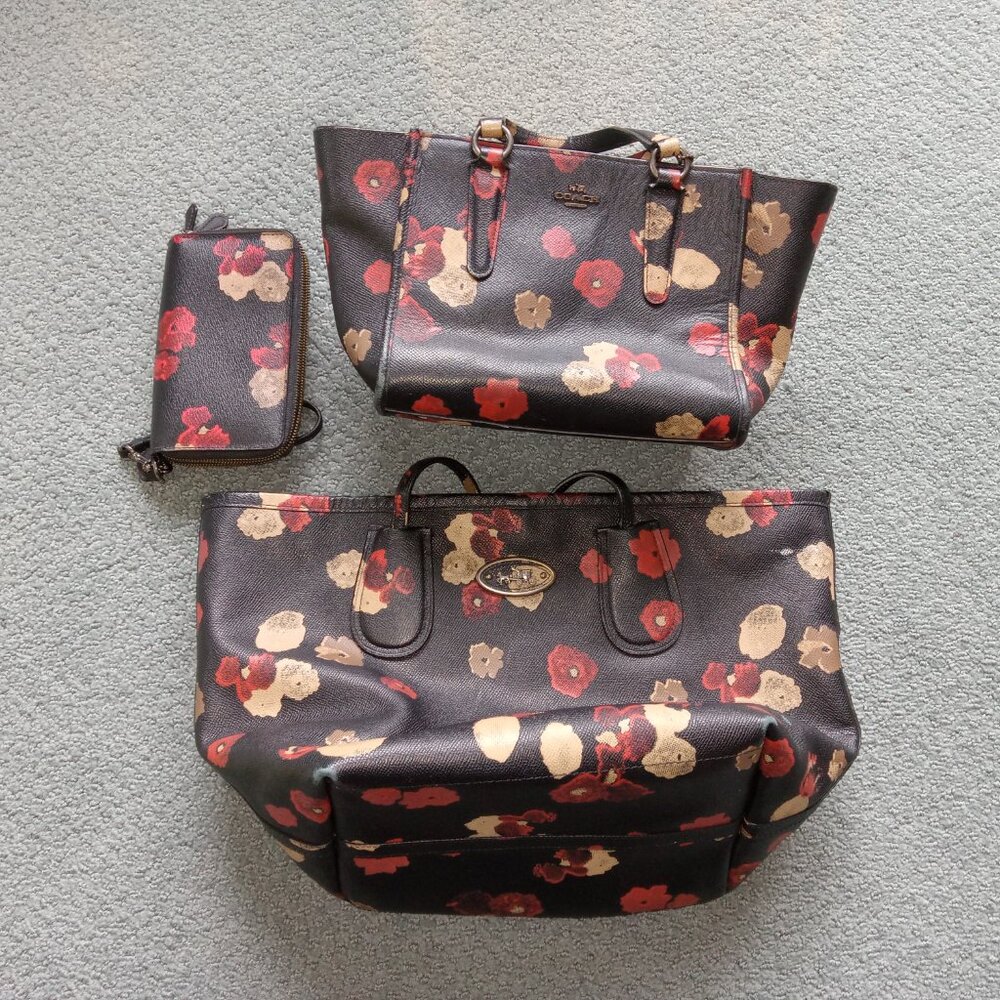 Coach Tote, purse, wallet bundle